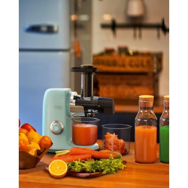 Hazel Quinn Masticating Juicer, Slow Cold Press Juicer for Fruit and Vegetable, Without BPA, Easy to Clean, 2-Speed Modes & Reverse Function, Quiet Operation, Dishwasher Safe