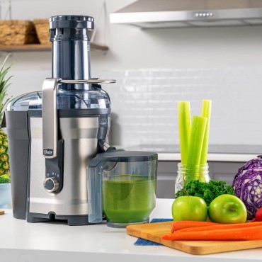 Oster Easy-to-Clean Professional Juicer, Stainless Steel Juice Extractor, Auto-Clean Technology, XL Capacity, Gray