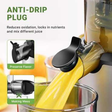 AMZCHEF Whole Fruit Juicer Machines, 80MM Large Feeding Chute Slow Masticating Juicer, Powerful Cold Press Juicers with Upgrade Auger, Double-Layer Filter, Retro Toggle Switch, Quiet Motor-Silver