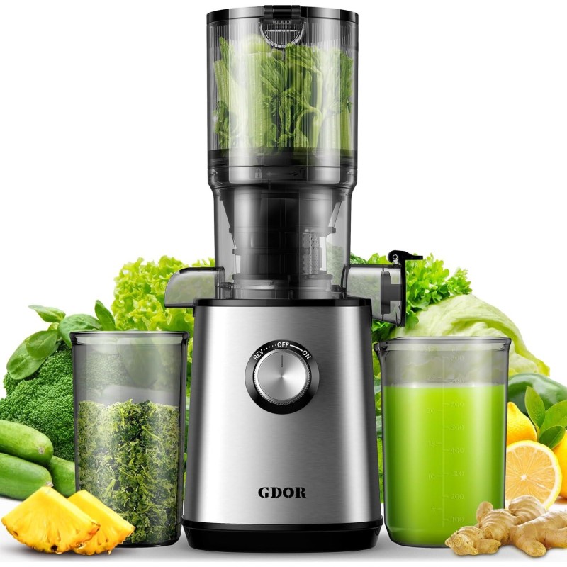 GDOR Cold Press Juicer with 4.25'' Feed Chute, Masticating Juicer Machines Fits Whole Fruits and Vegetables, Self Feeding Slow Juicer with Low Noise, Silver