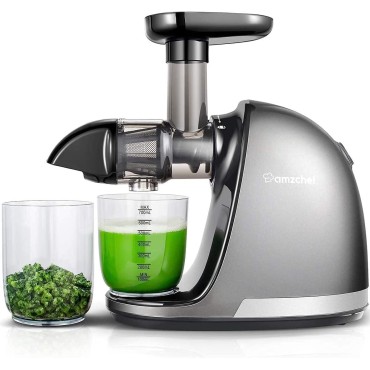 Masticating Juicer Machines, AMZCHEF Slow Cold Press Juicer with Reverse Function, High Juice Yield, Easy Clean with Brush,Recipes for High Nutrient Fruits and Vegetables, Gray(Updated)