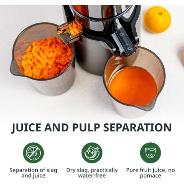 Slow Masticating Juicer Machines Cold Press Juicer Machines with 4 Wide Chute Pure Juicer Machine for Vegetables and Fruits,Reverse Function,NO BPA,JC01,Grey