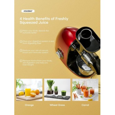 Juicer Machines Vegetable and Fruit, HOUSNAT Cold Press Juicer Extractor with 2-Speed Modes Easy to Clean, Slow Masticating Juicer with Quiet Motor, Reverse Function, Recipes (Passion Red)