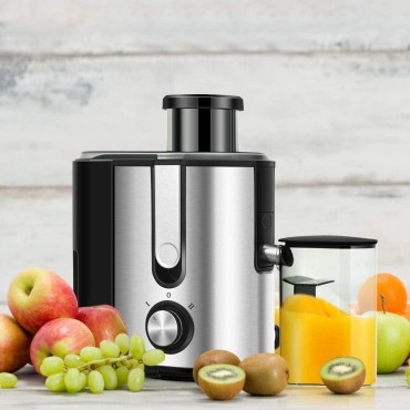 COSTWAY Juicer Machines with 2.5inch Wide Mouth, 400W Masticating Juicer Extractor with Dual Speed Control and Overload Protection, Stainless Steel Centrifugal Juicer with Anti-drip Design, BPA-FREE