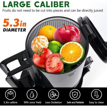 LQZ Cold Press Juicer, Slow Masticating Juicer Machines, 350W Juice Extractor Machine, 5.3 Large Bore Feed Chute Fit Whole Vegetables and Fruits, Easy to Clean Juicer(Black)