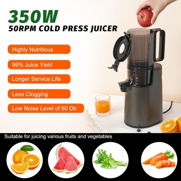 LQZ Cold Press Juicer, Slow Masticating Juicer Machines, 350W Juice Extractor Machine, 5.3 Large Bore Feed Chute Fit Whole Vegetables and Fruits, Easy to Clean Juicer(Black)