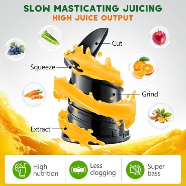 LQZ Cold Press Juicer, Slow Masticating Juicer Machines, 350W Juice Extractor Machine, 5.3 Large Bore Feed Chute Fit Whole Vegetables and Fruits, Easy to Clean Juicer(Black)