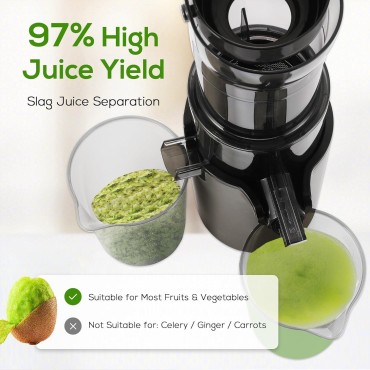 Cold Press Juicer, Masticating Juicer for Fruits Whole Lemon Orange & Vegetables | 97% Juice Yield, Max Nutrition, Electric Slow Juicer Machines with 2 Cups (BPA-Free, Divide Pulp)