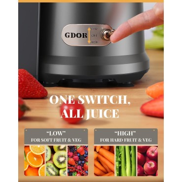 GDOR 1200W Juicer with Larger 3.2 Feed Chute, Titanium Enhanced Cutting System, Centrifugal Juice Extractor Maker with Heavy Duty Full Copper Motor, Dual Speeds, BPA-Free, Gun Grey