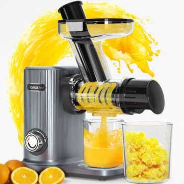 Masticating Cold Press Juicer Machines: Easy Clean Small Mouth Cold Pressed Juicers for Fruit - Kitchen Aid Professional Juicing Estractor for Vegetales - Slow Speed Electric Horizontal Juice Presser