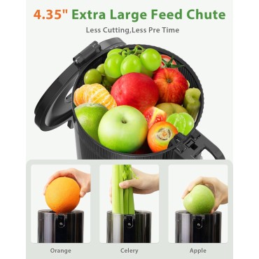 Juicer Machines, ECOSELF Cold Press Juicer with 4.35 Large Feed Chute Fit Whole Fruits and Vegetables, Easy to Clean, Masticating Juicer Self Feeding Effortless for Batch Juicing, High Juice Yield