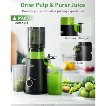 Juicer Machines, ECOSELF Cold Press Juicer with 4.35 Large Feed Chute Fit Whole Fruits and Vegetables, Easy to Clean, Masticating Juicer Self Feeding Effortless for Batch Juicing, High Juice Yield