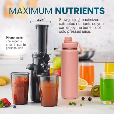 Elite Gourmet Masticating Juicer Machines, 12-inch Juicer, Masticating Cold Press Juicer Machines, Juicer for Vegetables and Fruits, Easy to Clean Juicer, Charcoal Grey