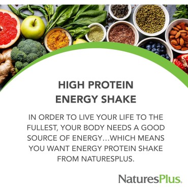 Natures Plus Energy Shake - 1.7 lb - 16 Grams of Plant-Based Protein Per Serving - Contains Digestion-Supporting Enzymes - No Added Sugar - Non-GMO, Vegetarian, Gluten Free - 28 Servings