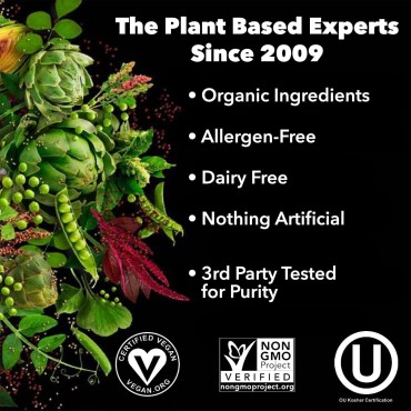 PlantFusion Complete Vegan Protein Powder - Plant Based Protein Powder With BCAAs, Digestive Enzymes and Pea Protein - Keto, Gluten Free, Soy Free, Non-Dairy, No Sugar, Non-GMO - Vanilla Bean 2 lb