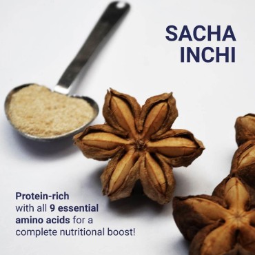 Organic Sacha Inchi Protein Powder Organic - 100% Natural, Vegan, Gluten-Free, 9 Grams - Plant Based - Low Carb, 9 Essential Amino Acids, 300mg Omega 3, Rich in Fiber - 1 Bag (8.8 oz.)