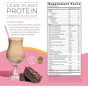 One Sol Lean Plant Protein Powder Chocolate Sea Salt, Low Carb, Gluten Free, Lactose Free, No Sugar Added, Soy Free, Non-GMO, 100% Plant Based & Vegan Friendly