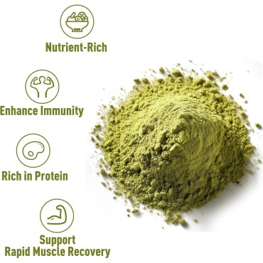 UNLEASH'D ORGANIC Organic Pumpkin Seed Protein Powder 16 oz Enhances Immune System Function Organic Plant-Based Protein Powder No Artificial Sweeteners Non-GMO Vegan