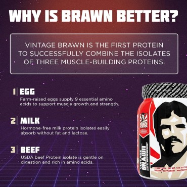 Vintage Brawn – Muscle-Building Protein Powder Isolate for Men & Women – Post-Workout & Anytime Recovery Drink – Premium Protein Isolate Sources: Egg, Milk, Beef – Rich Chocolate Flavor - 2.1 Lbs.