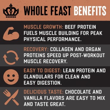 The Fittest Whole Feast Beef Protein Powder - Milk Chocolate - Nose to Tail Carnivore Blend Including Liver, Colostrum and Whole Bone - BCAAs - 14g Collagen, 21g Total Protein