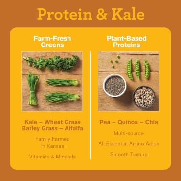 Amazing Grass Vegan Protein & Kale Powder: 20g of Organic Protein + 1 Cup Leafy Greens per Serving, Honey Roasted Peanut, 15 Servings, 0.7 Ounce (Pack of 1)