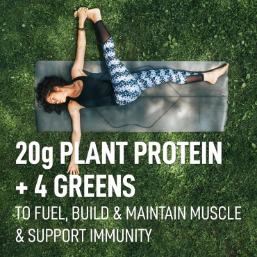 LeanFit Plant-Based Protein & Greens, Natural Berry, 20g Protein, 19 Servings, 1.25 Pound Tub