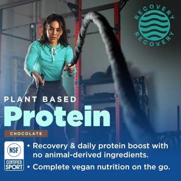 Gnarly Nutrition Vegan Plant Protein - Vegan Protein Powder, NSF Sport Certified, Meal Replacement, Daily Protein Boost, Lactose Free Protein Powder - Chocolate, 28.2 Oz