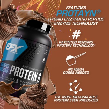 EFX Sports Training Ground Protein 6 | Whey Isolate & Concentrate, Egg White, & Pea Protein | 26g 6-Source Sustained Release Protein | 32 servings (Chocolate)