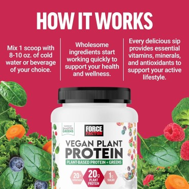 FORCE FACTOR Vegan Plant Protein, Plant-Based Protein + Greens, Greens Powder with 20g Plant Based Protein, Digestive Enzymes, and Fiber, Fruity Cereal Flavor, 20 Servings (Packaging May Vary)