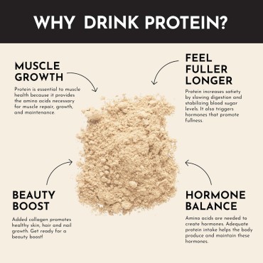 JUST INGREDIENTS Protein Powder | Vanilla Protein Powder Made with 100% Grass Fed, Non Denatured Whey | Four Different Protein Sources from Organic Whole Food Ingredients | 15 Servings | 22g Protein