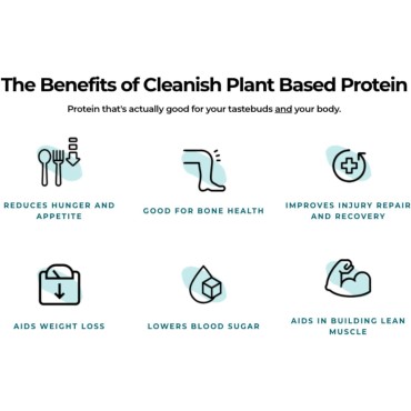 cleanish Plant Based Protein (Vanilla Bean)