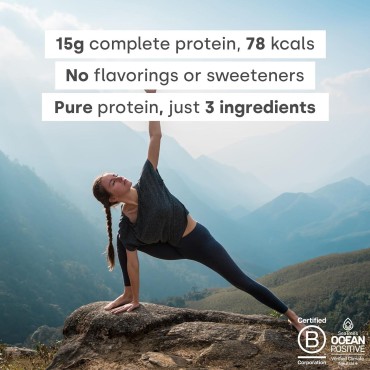 Form Pureblend Protein - Unflavored and Unsweetened Vegan Protein Powder - 15g of Plant Based Protein per Serving. Perfect for Your Smoothies, Cooking and Baking.