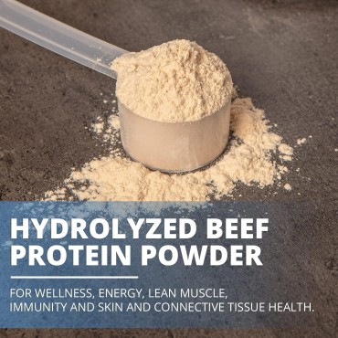 PureClean Protein - Organic Grass-Fed 25G Beef Protein Powder + 15G Collagen - Gluten Free, Sugar Free, Dairy Free - 100% Paleo Keto HydroBEEF Bone Broth Protein - (20 Servings/500 Grams) Unflavored