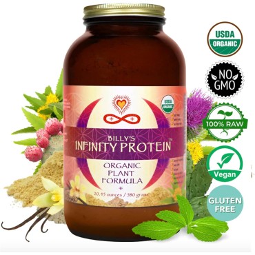 Infinity Organic Plant Based Protein Powder | Organic Hemp Protein Powder + Brown Rice Protein Powder with Enzymes & Prickly Pear Nopal Cactus | Vegan, Sugar Free, Soy Free, Whey Free, Non GMO (580g)